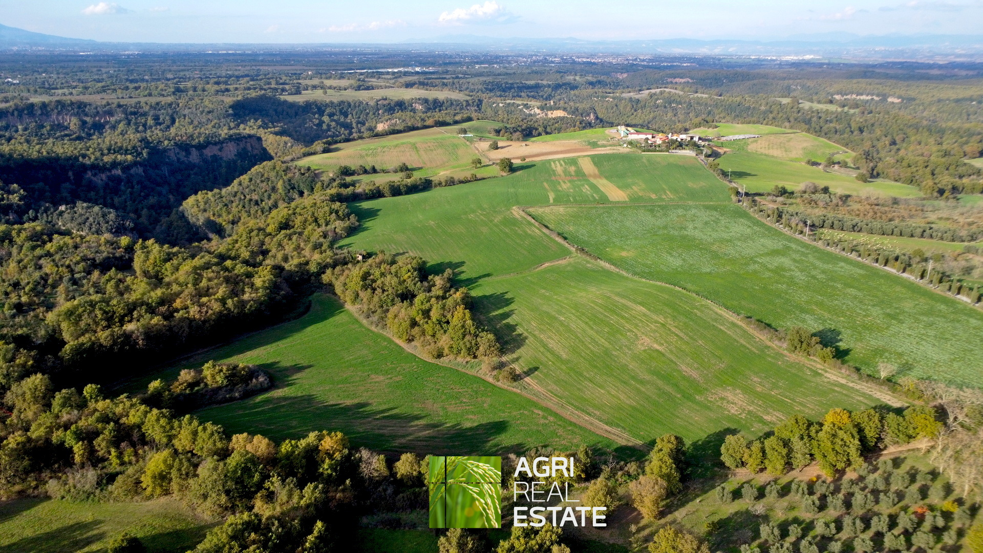 /api/file/public/265031/28432