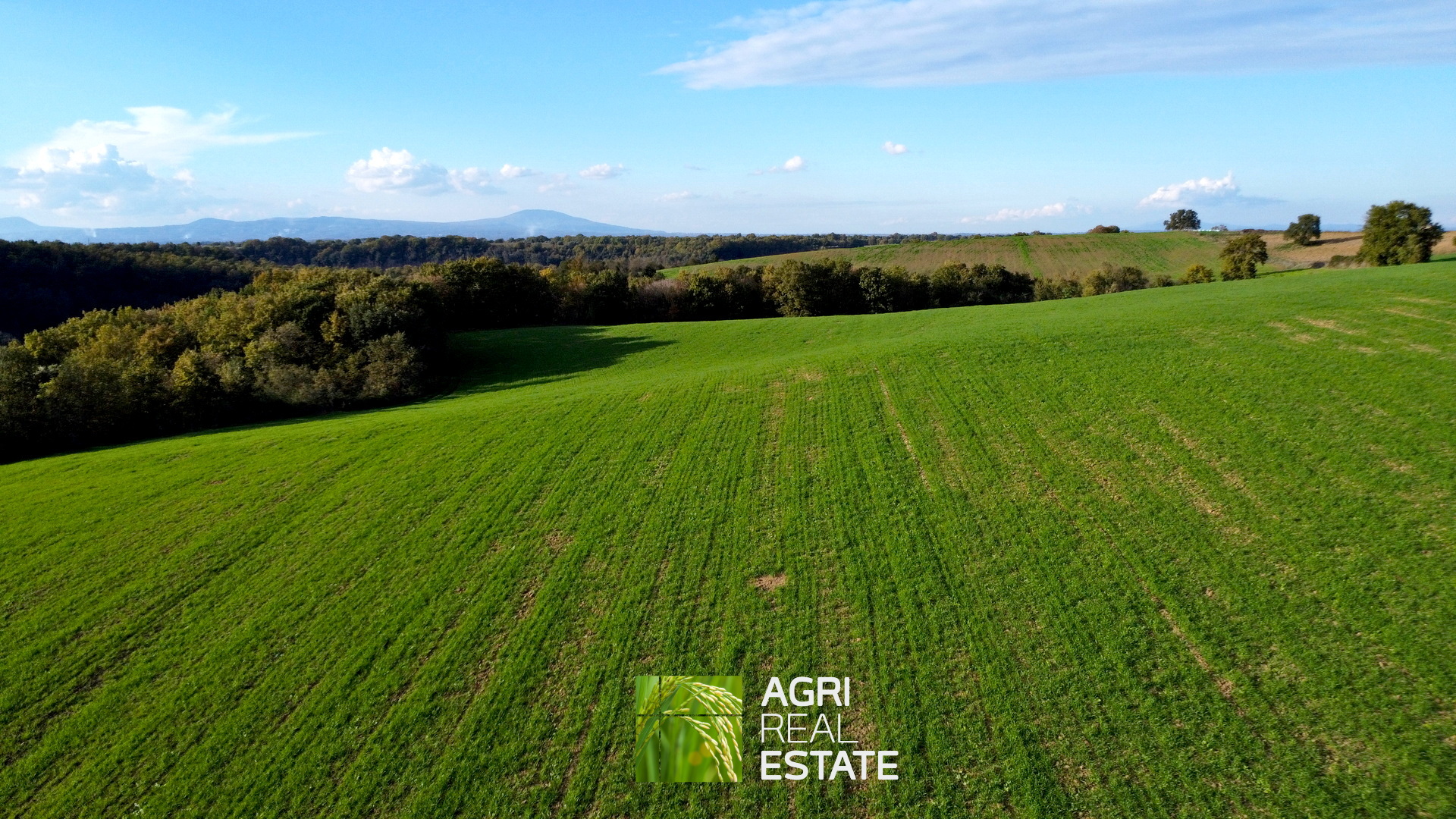 /api/file/public/265031/28433