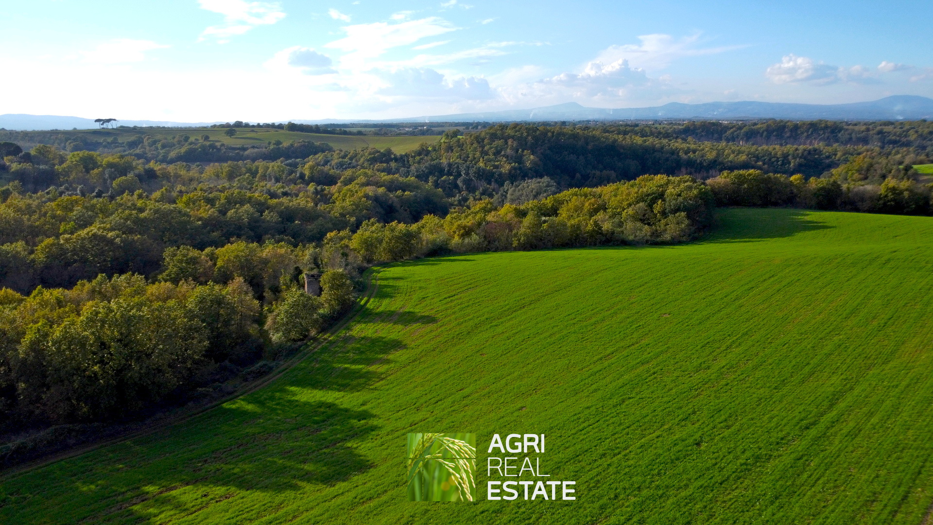 /api/file/public/265031/28434