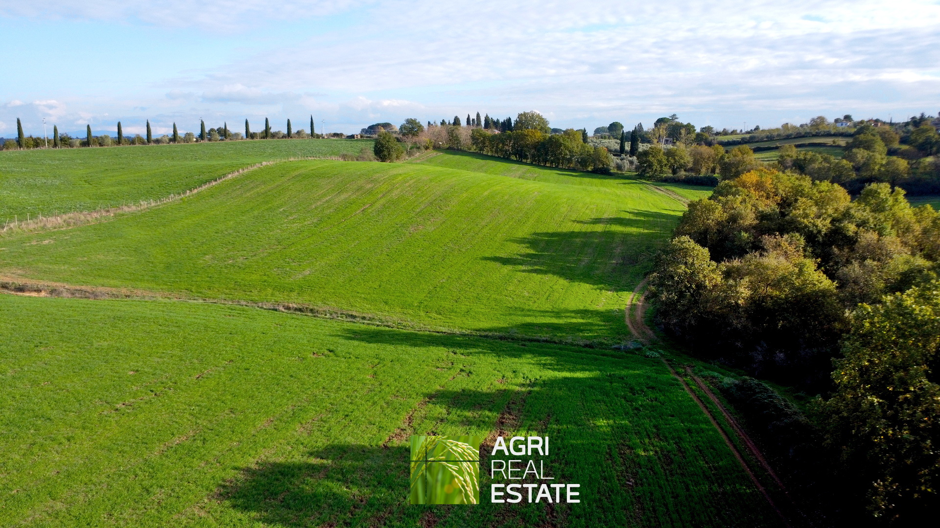 /api/file/public/265031/28435