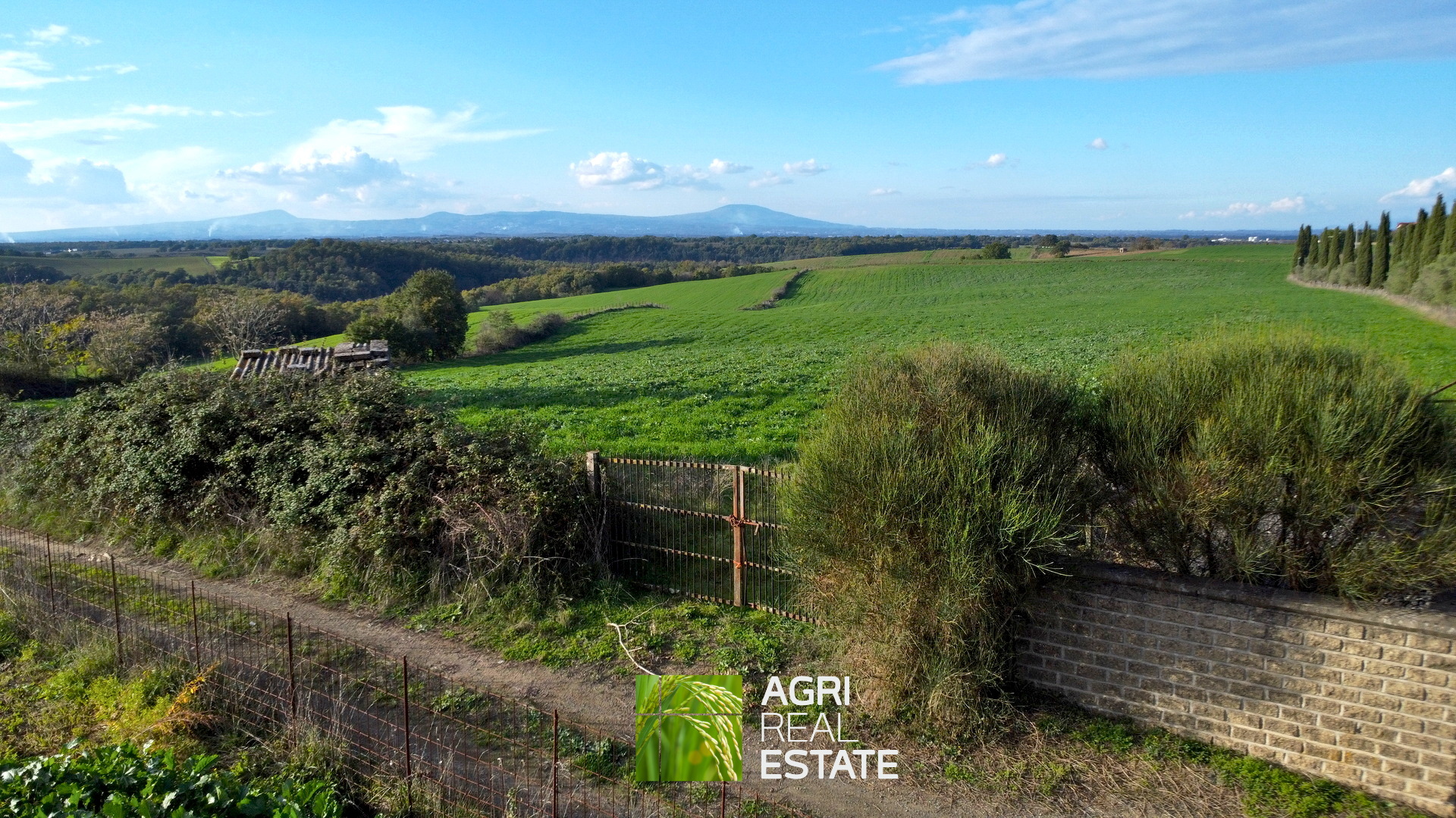 /api/file/public/265031/28436