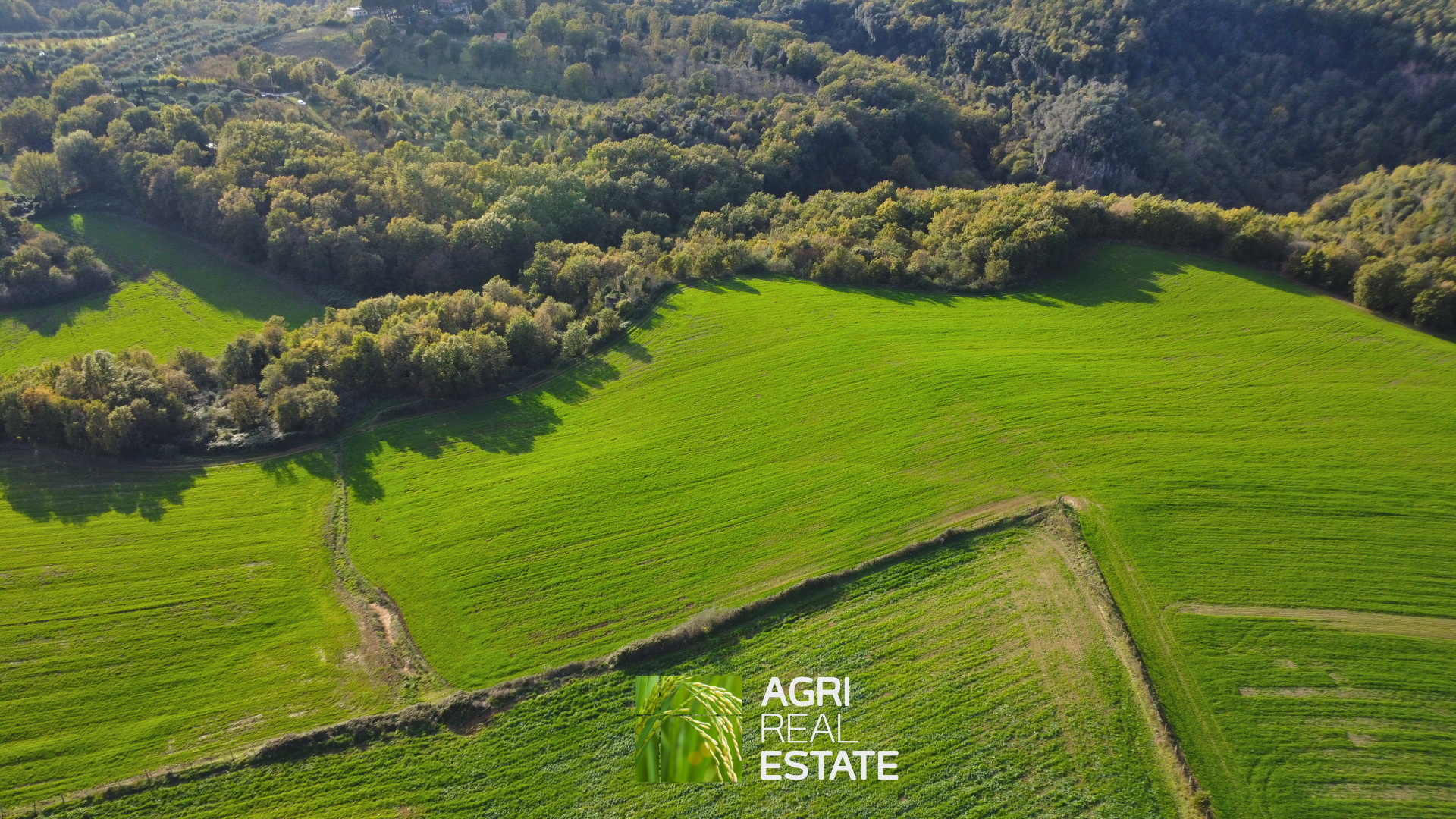 /api/file/public/265031/28437