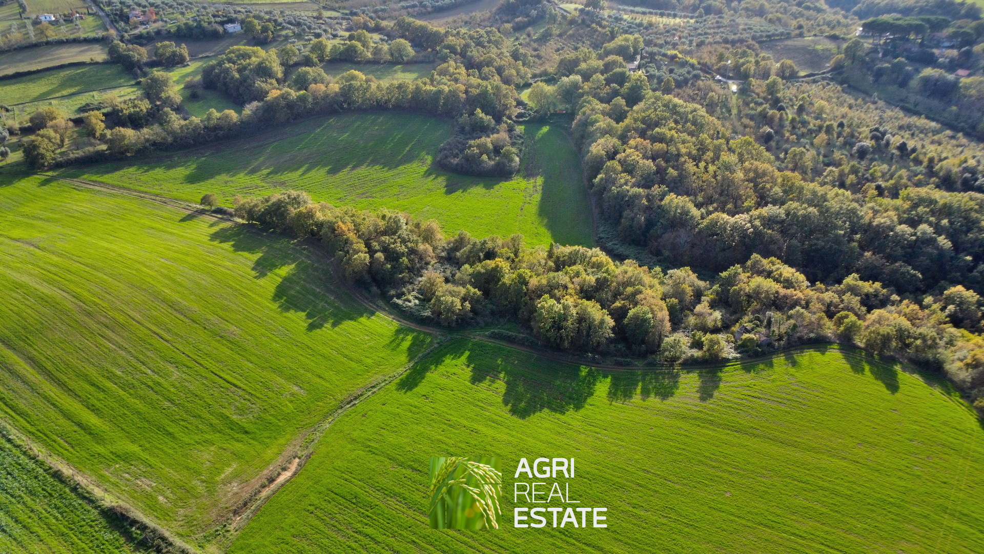 /api/file/public/265031/28438