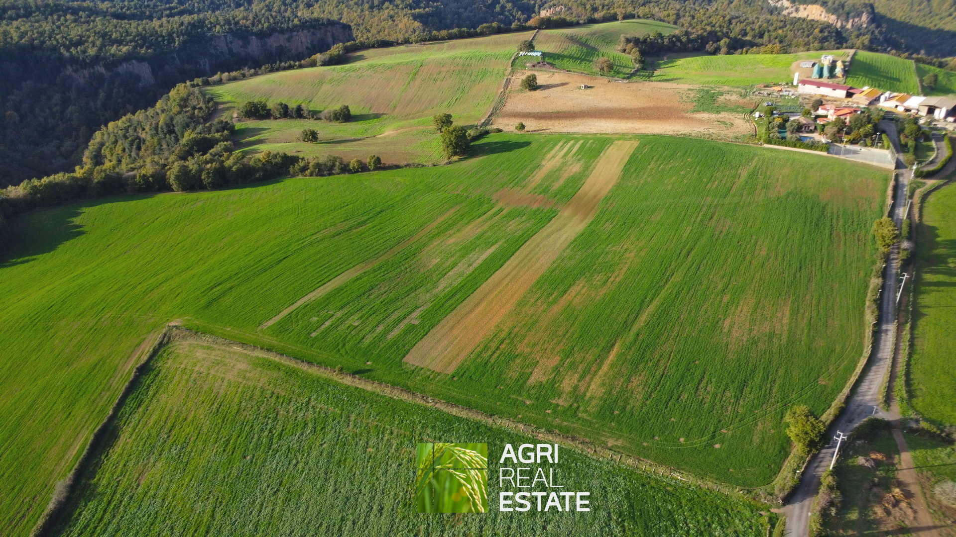 /api/file/public/265031/28439