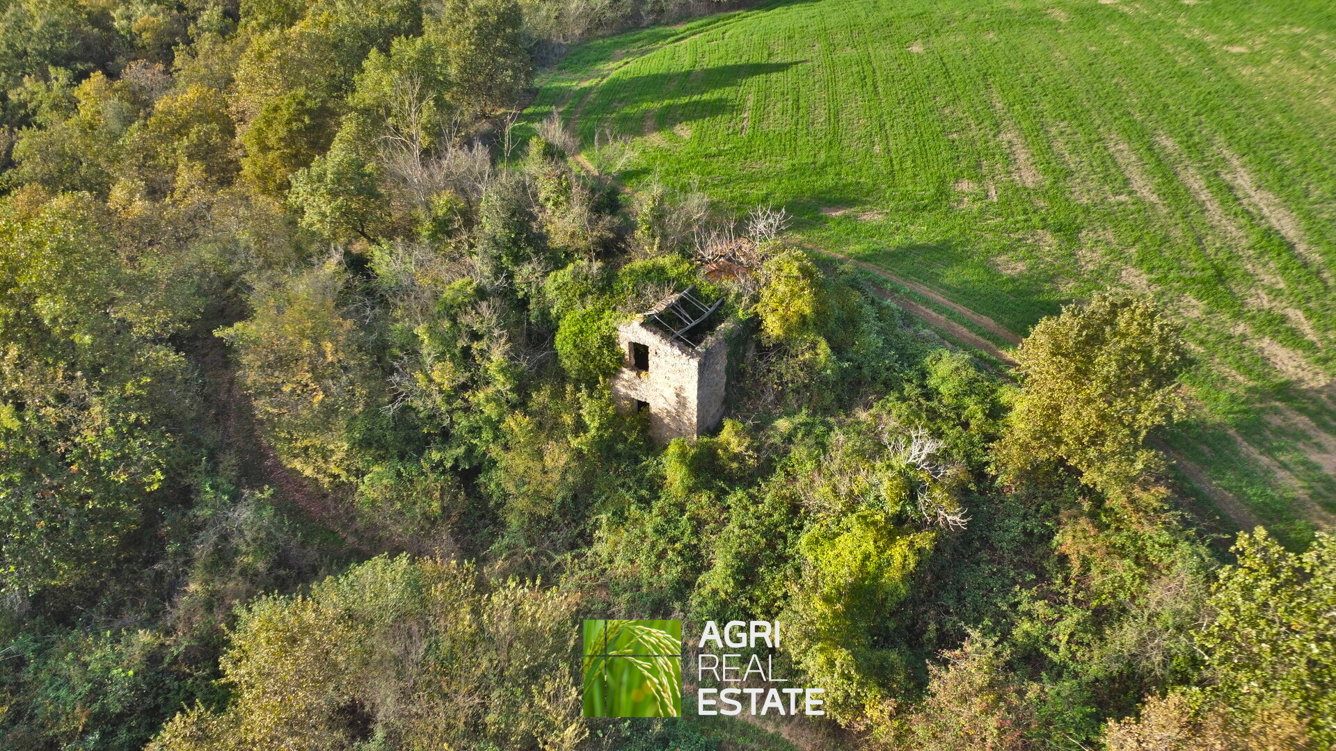 /api/file/public/265031/28440