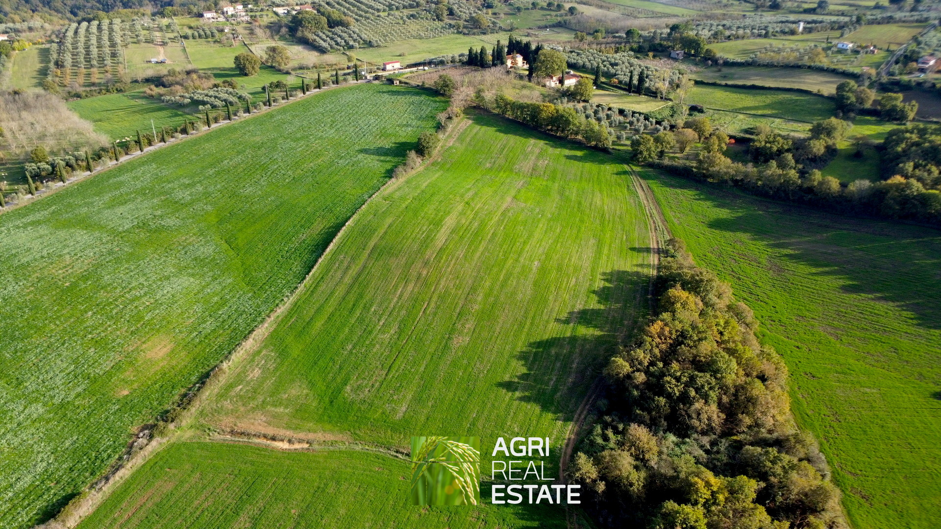 /api/file/public/265031/28441