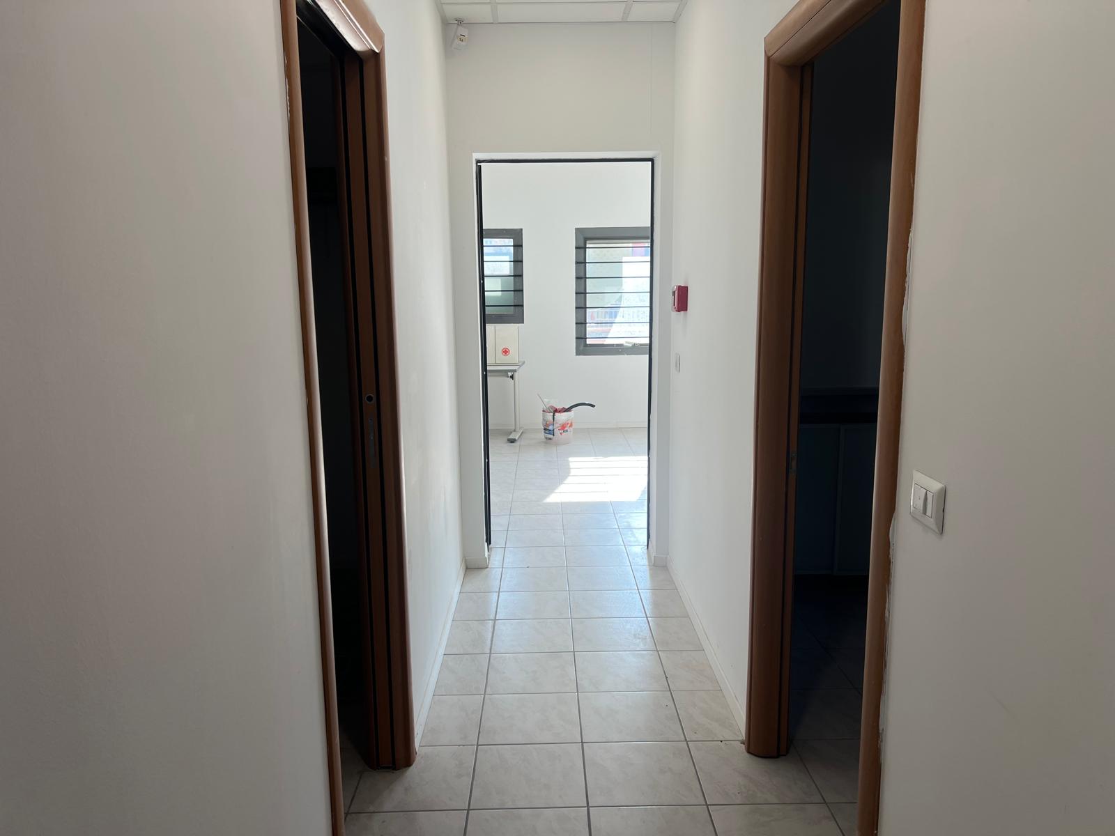 /api/file/public/265056/28487