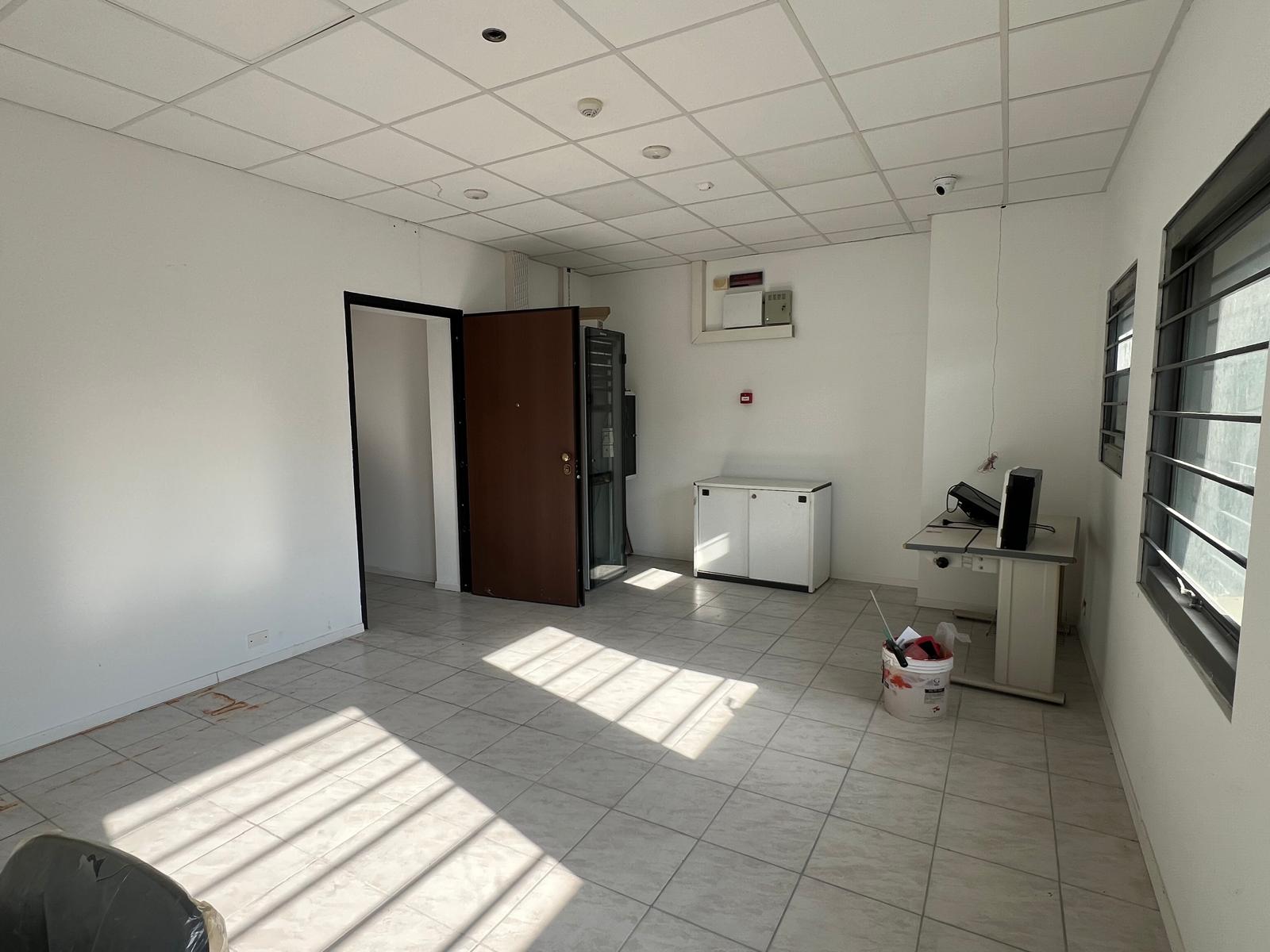 /api/file/public/265056/28489