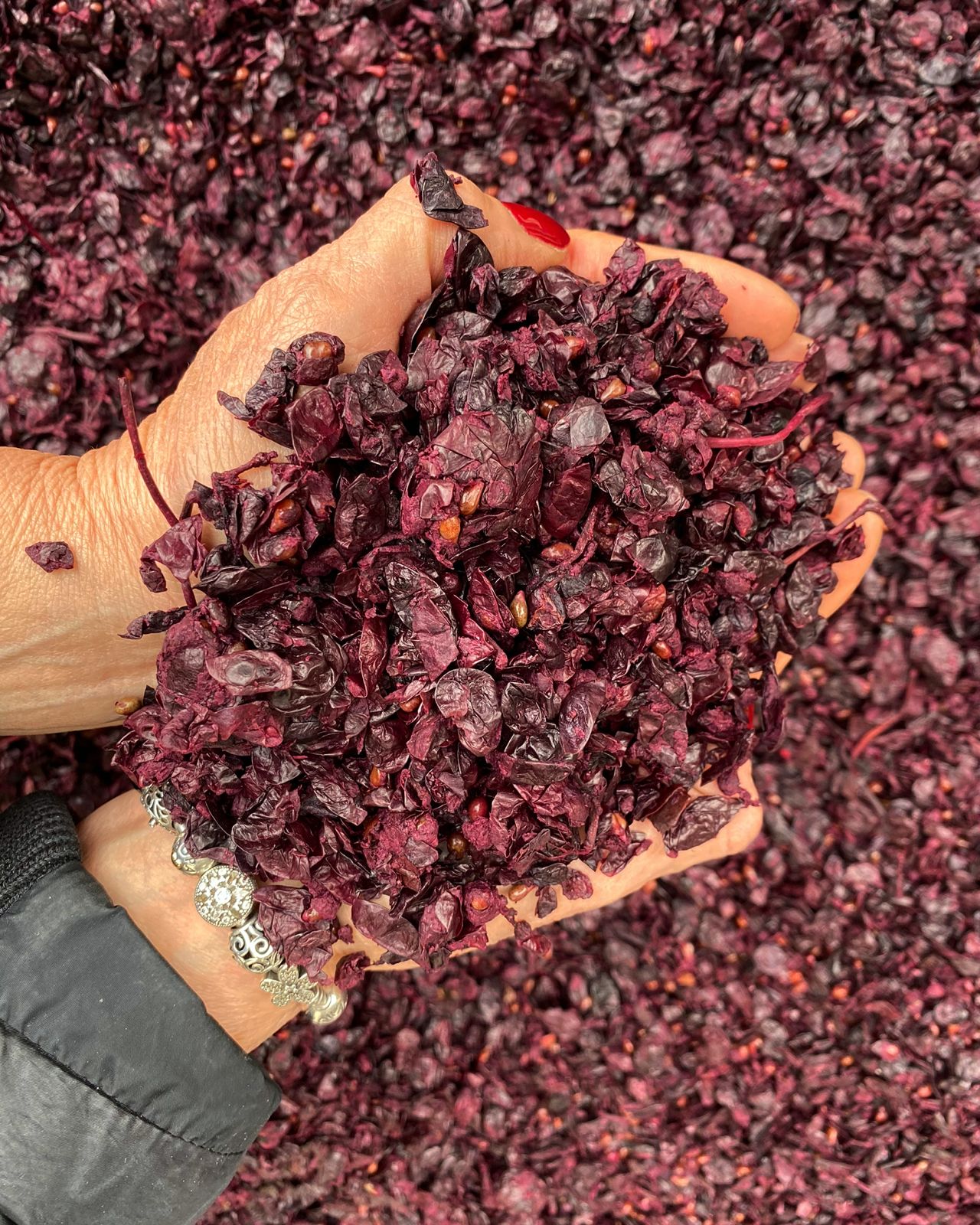 /api/file/public/265065/28527