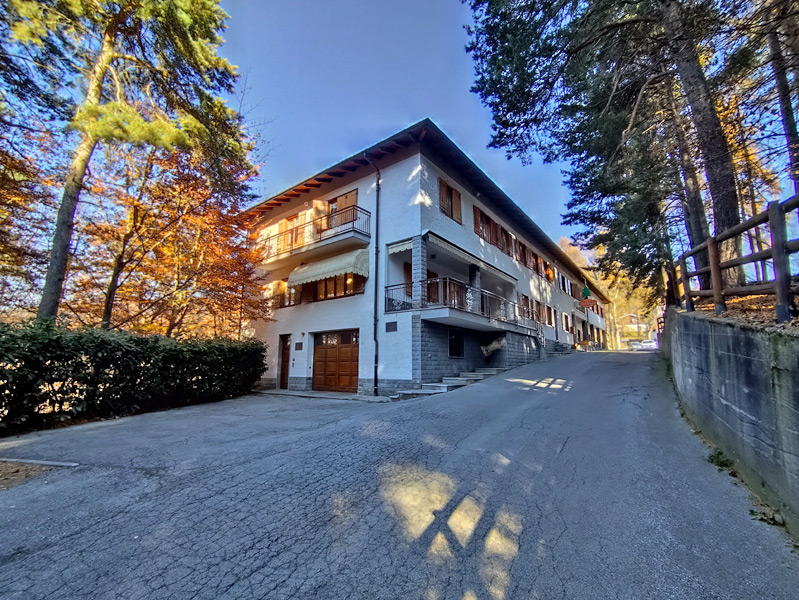 /api/file/public/265100/28708