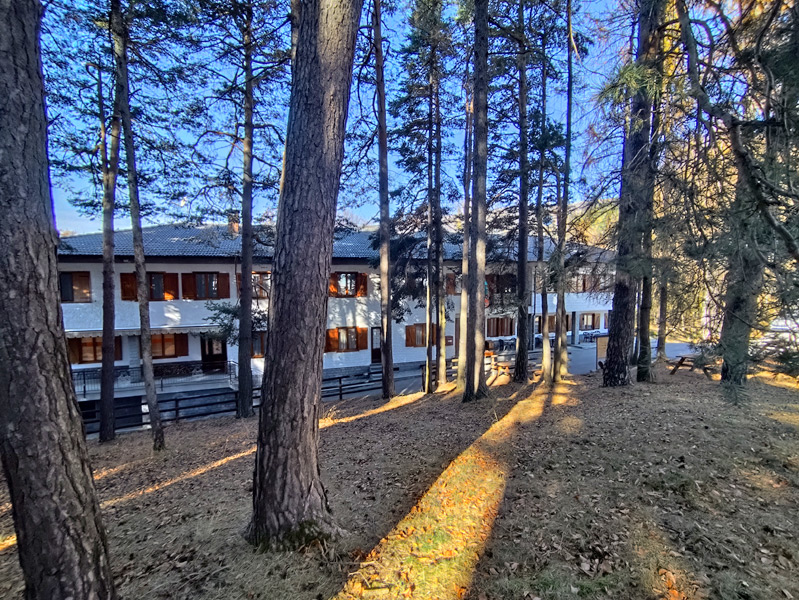 /api/file/public/265100/28712