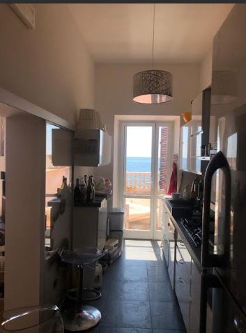 /api/file/public/265111/28833