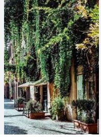 /api/file/public/265119/28897