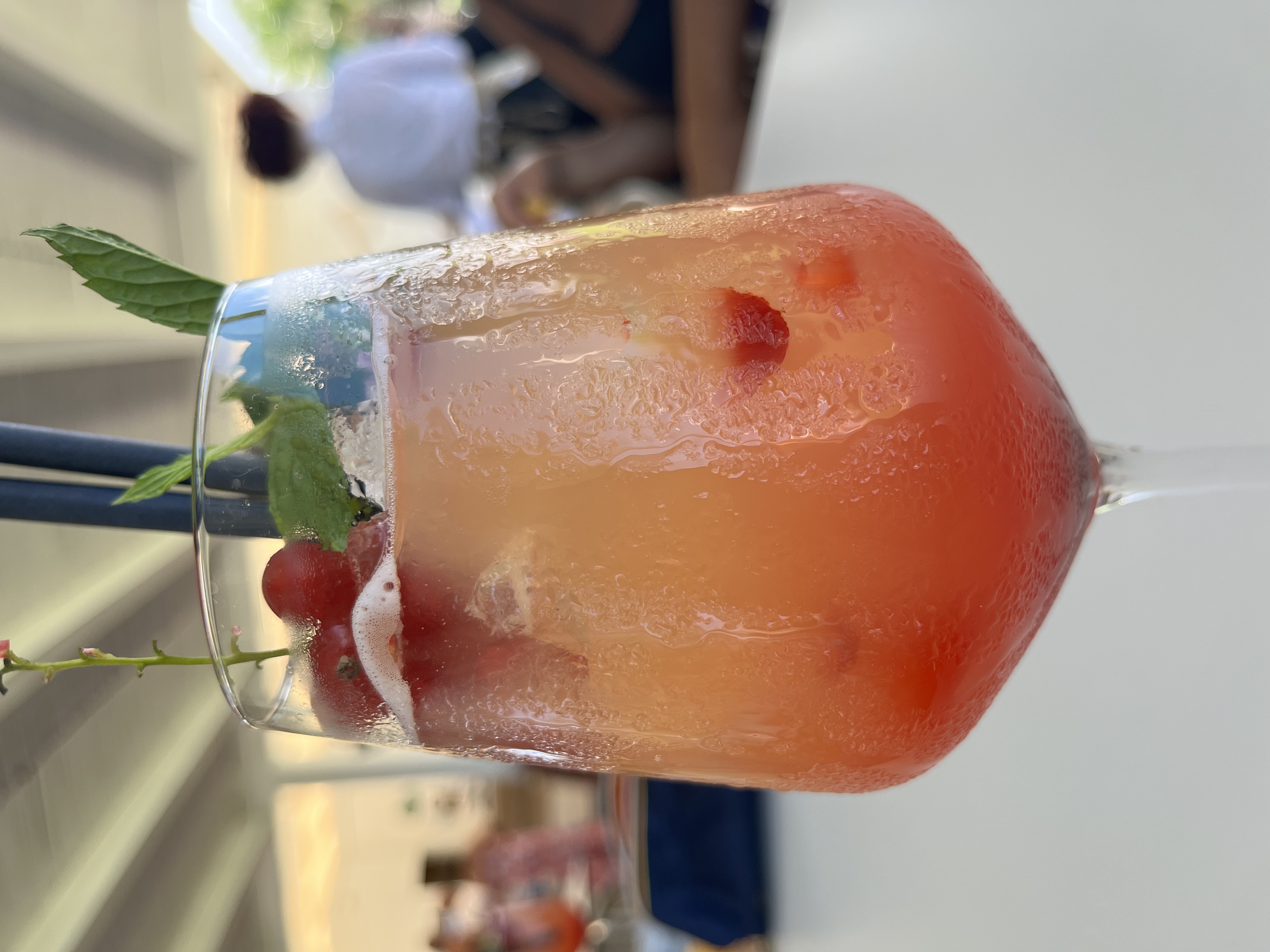 /api/file/public/265120/28900