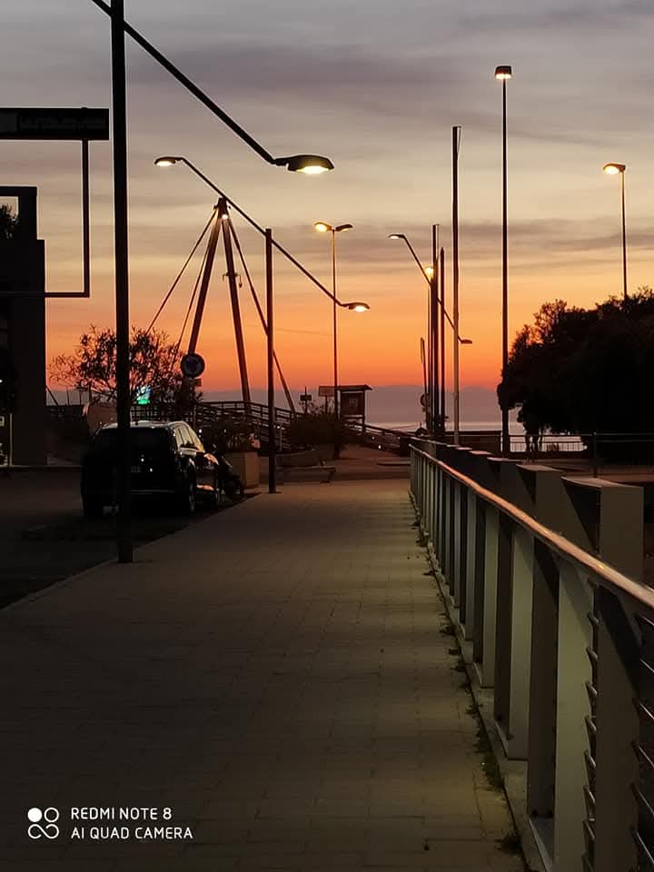 /api/file/public/265152/29002