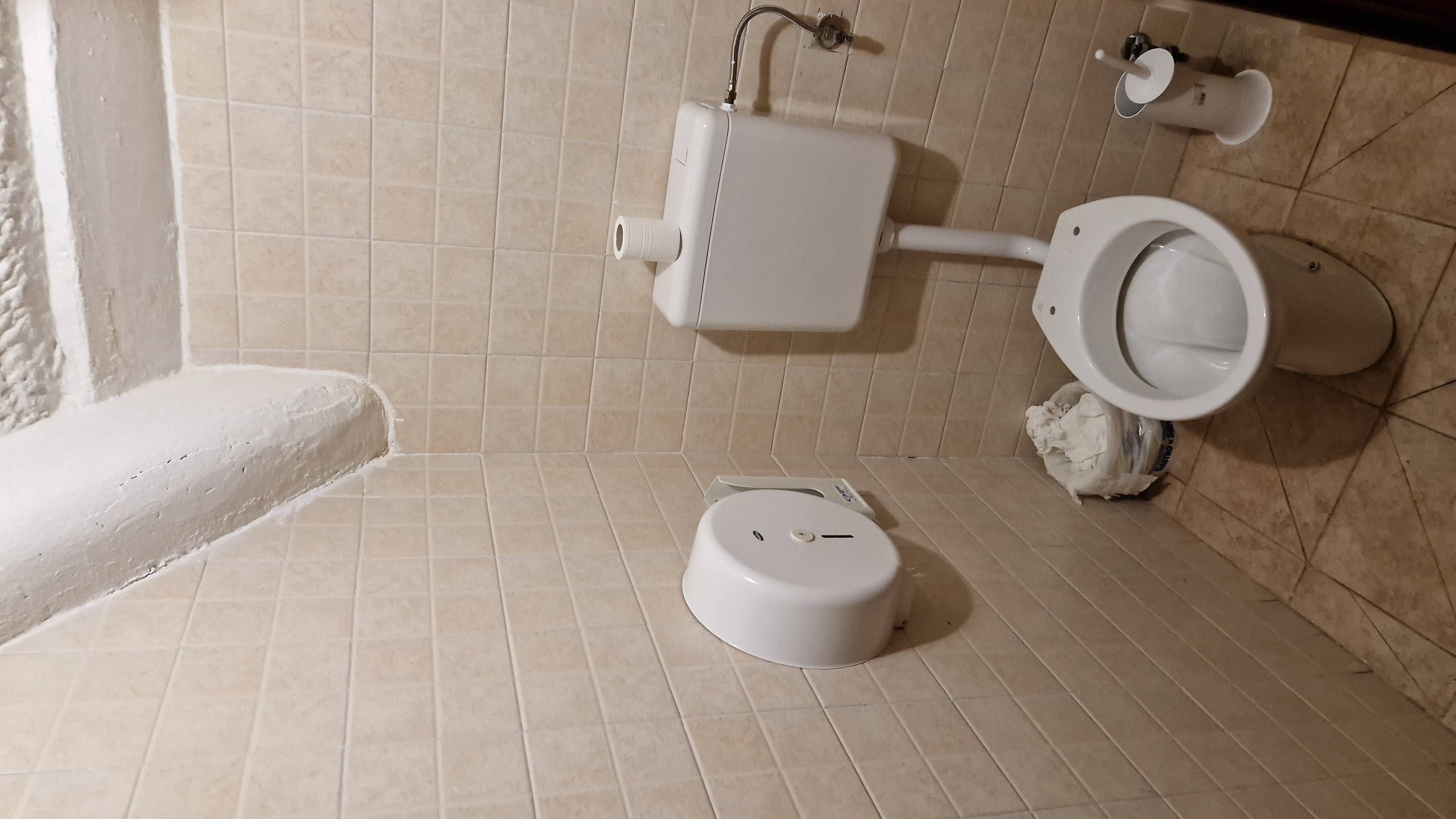 /api/file/public/265156/29021