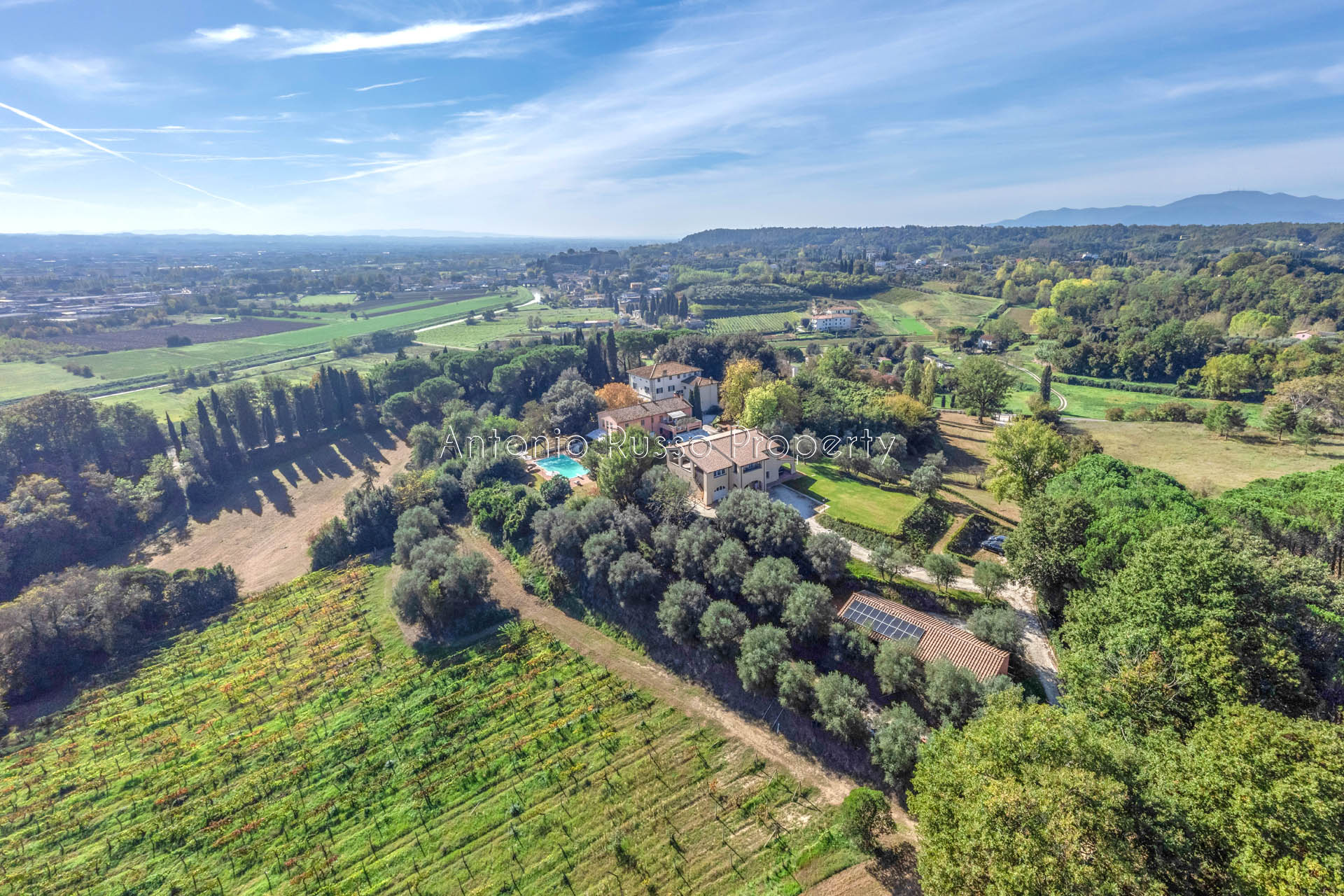 /api/file/public/265158/29052