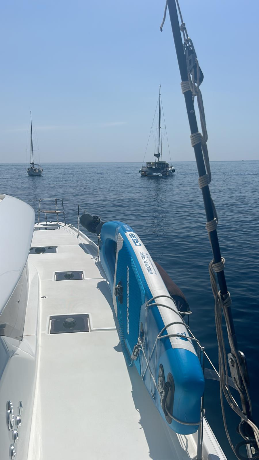 /api/file/public/265159/29067