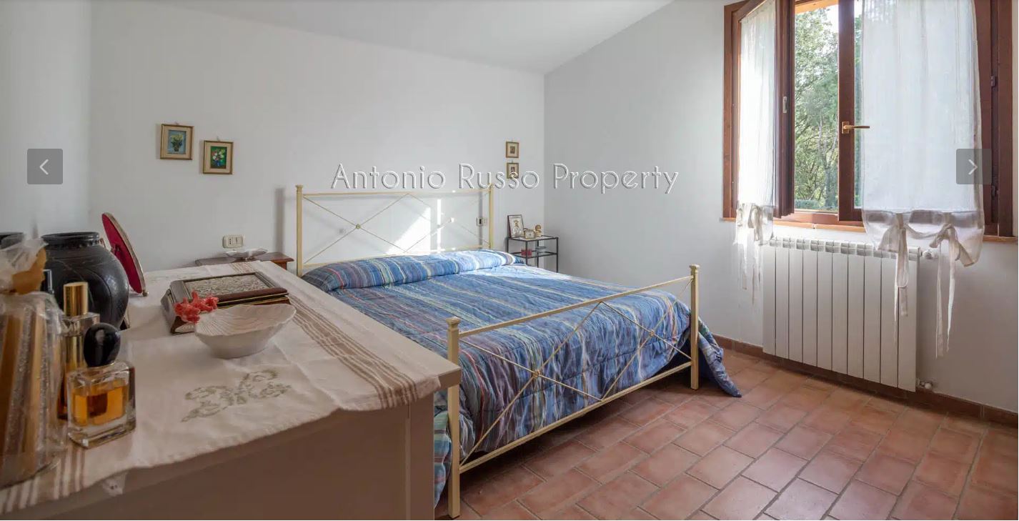 /api/file/public/265164/29110