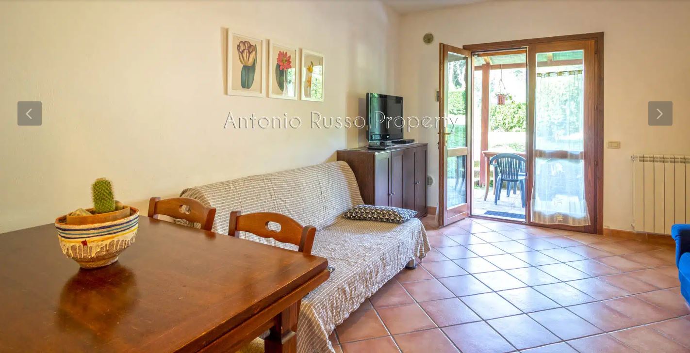 /api/file/public/265164/29113