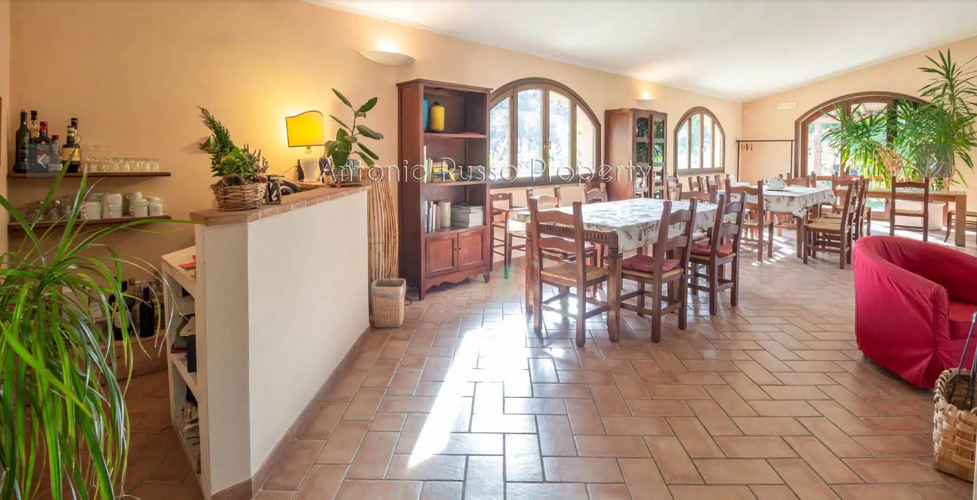 /api/file/public/265164/29117