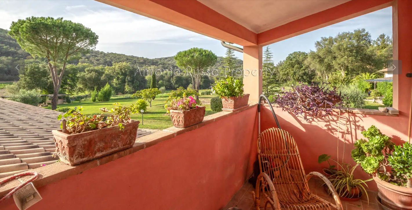 /api/file/public/265164/29120