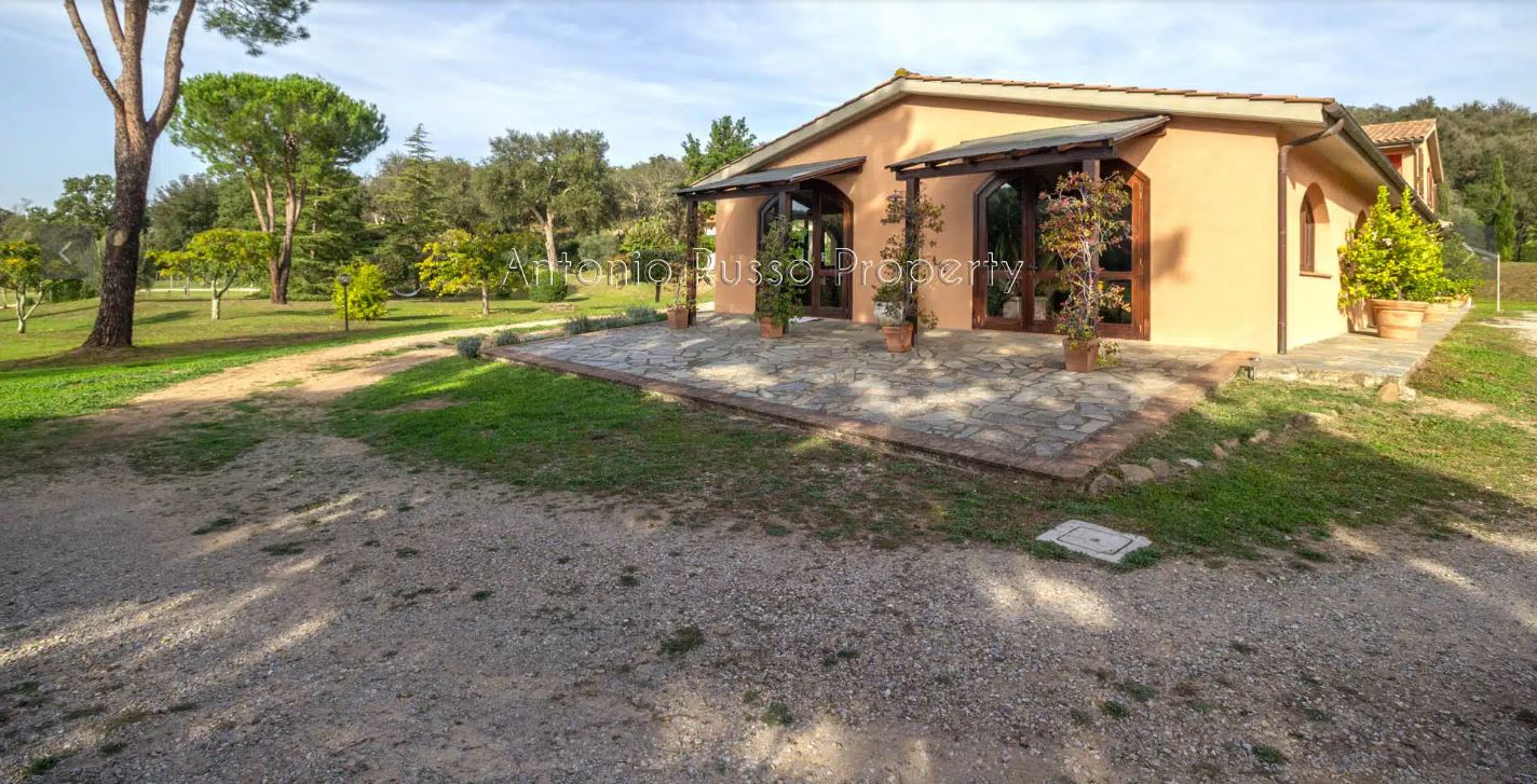 /api/file/public/265164/29121