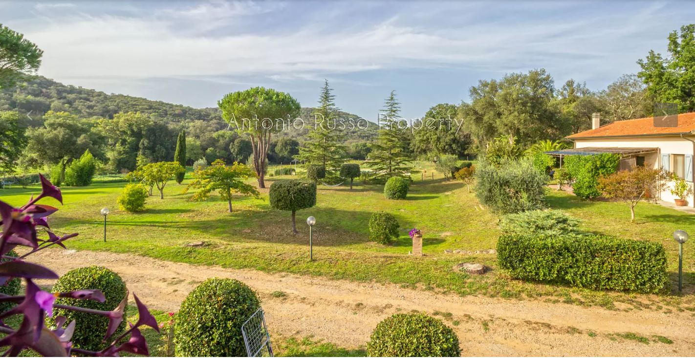 /api/file/public/265164/29122