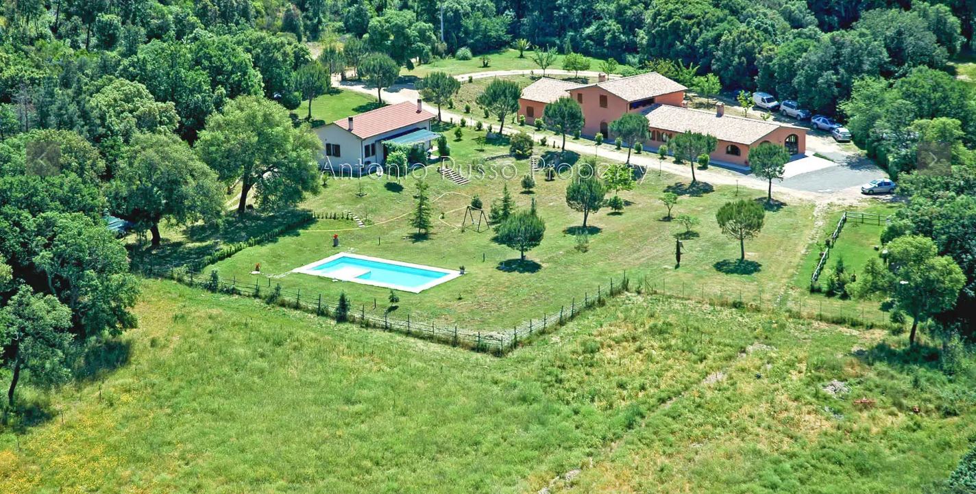 /api/file/public/265164/29123