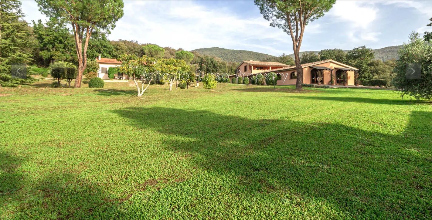 /api/file/public/265164/29125