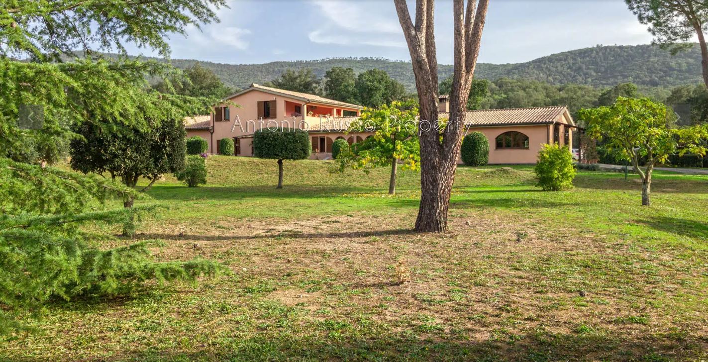 /api/file/public/265164/29126