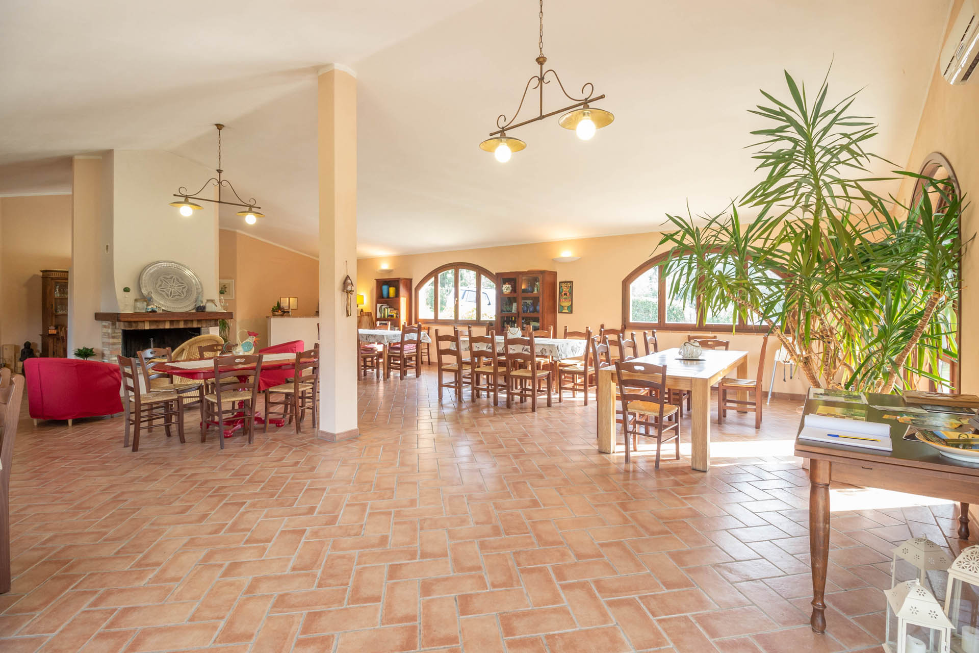 /api/file/public/265164/31904