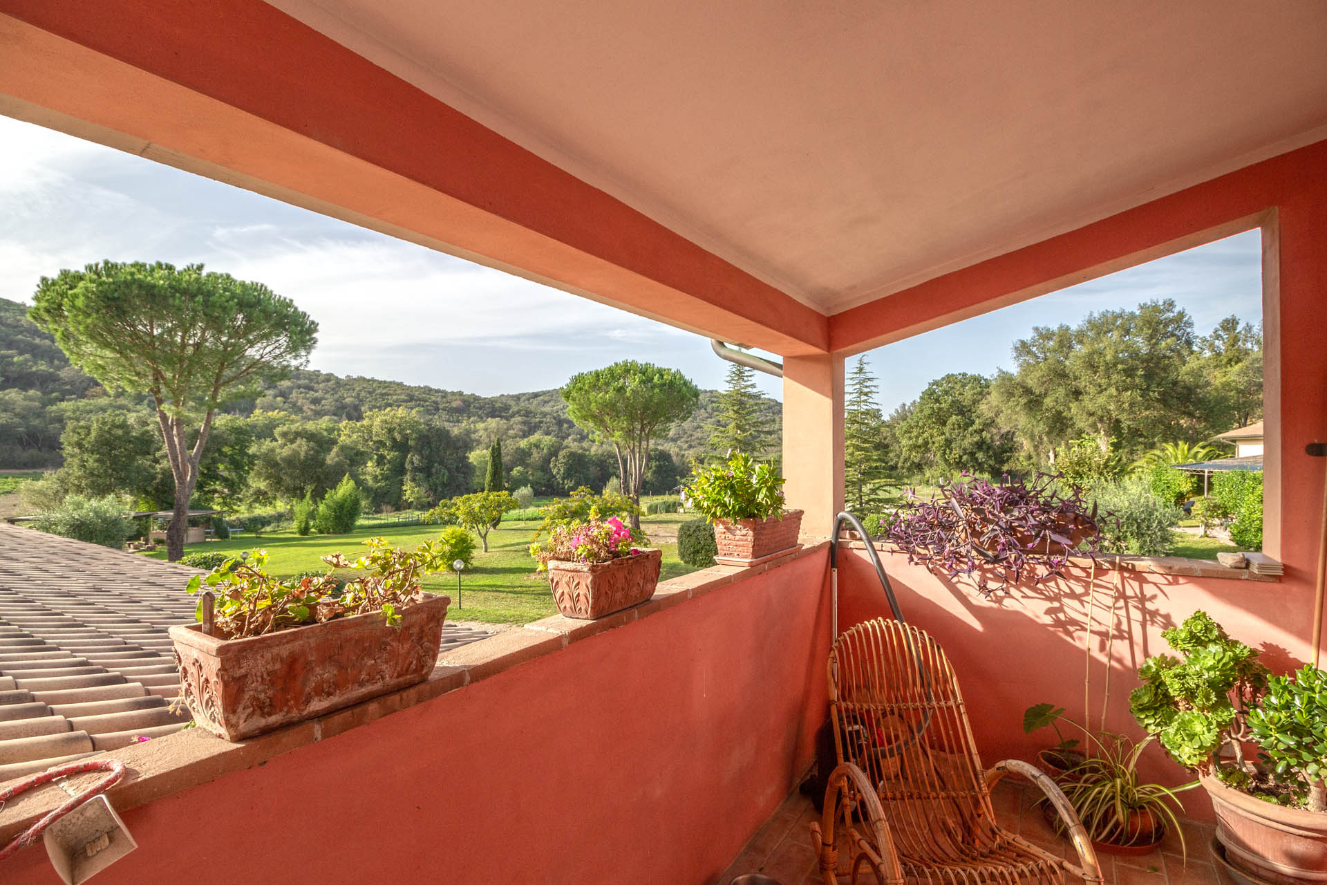 /api/file/public/265164/31914