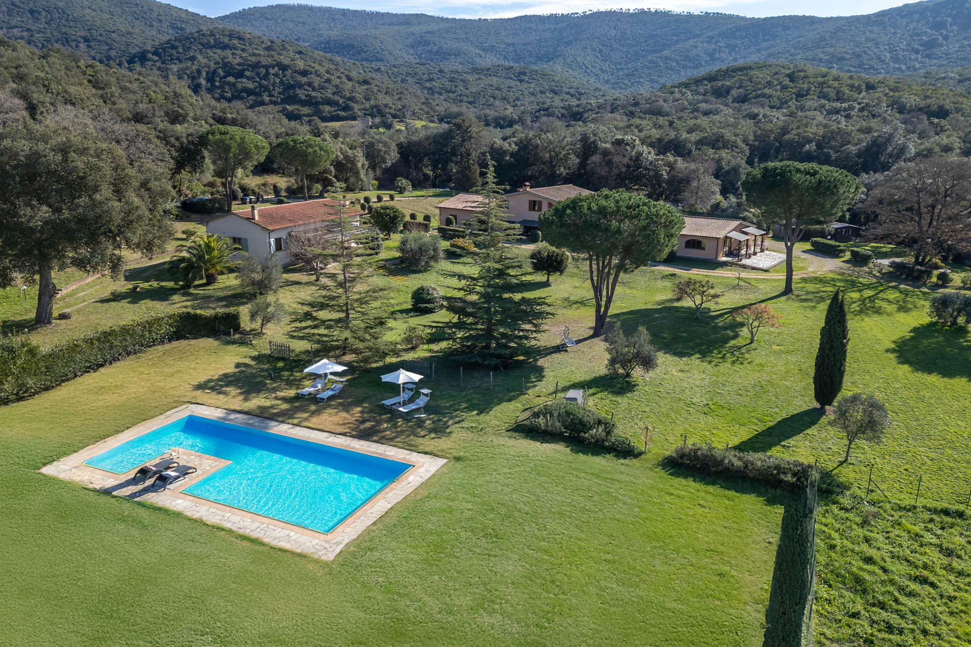 /api/file/public/265164/31920