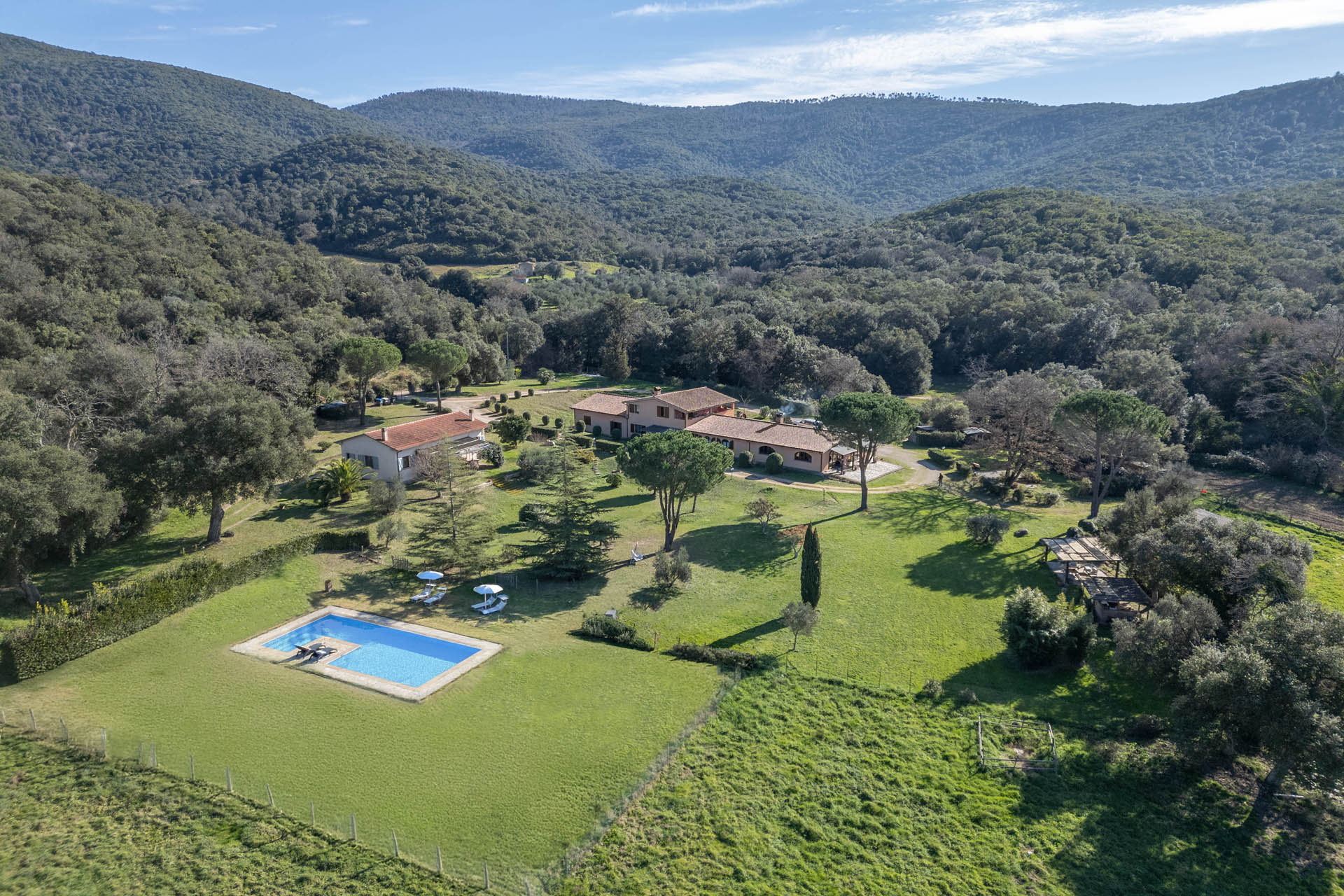 /api/file/public/265164/31922