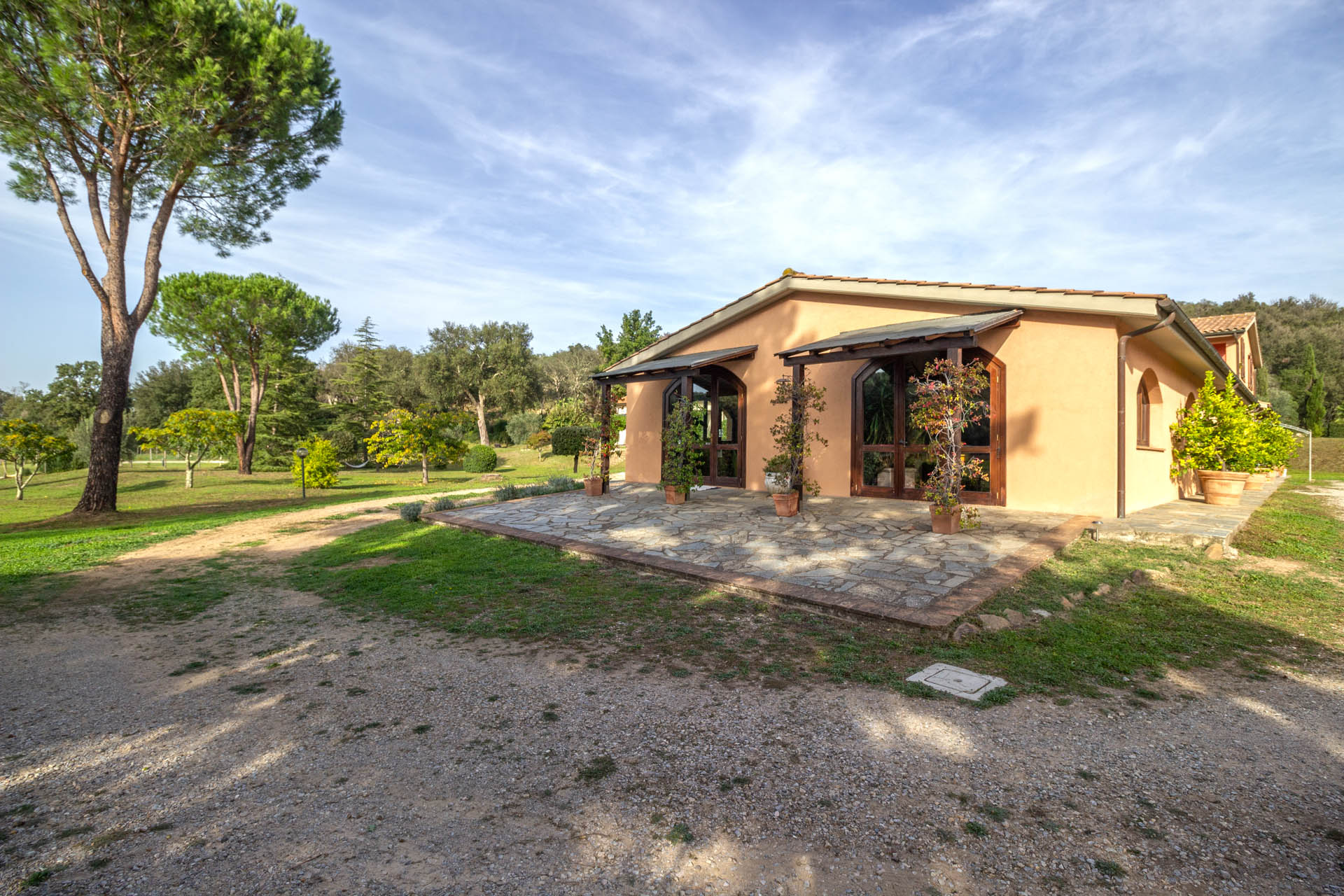 /api/file/public/265164/31923