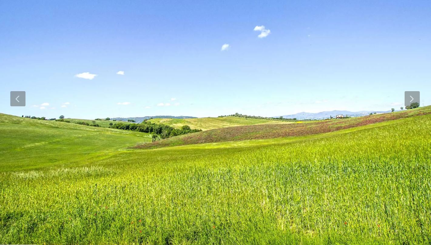 /api/file/public/265165/29136