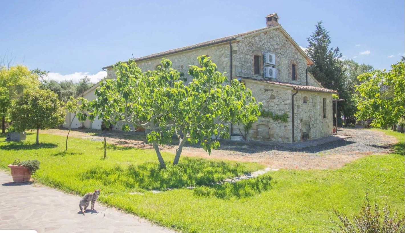 /api/file/public/265165/29139