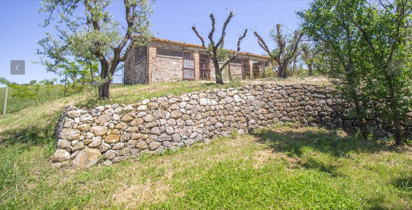 /api/file/public/265165/29141