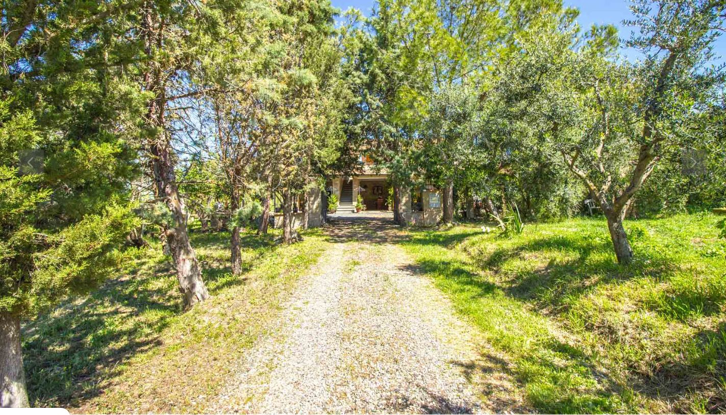 /api/file/public/265165/29143