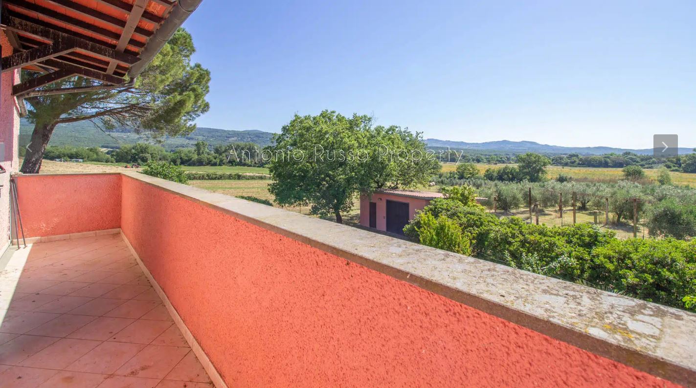 /api/file/public/265166/29151