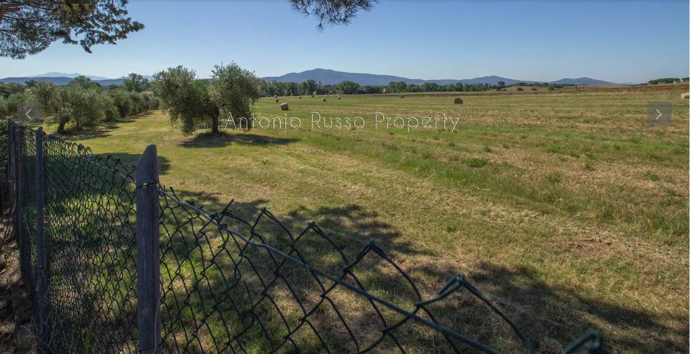 /api/file/public/265166/29152