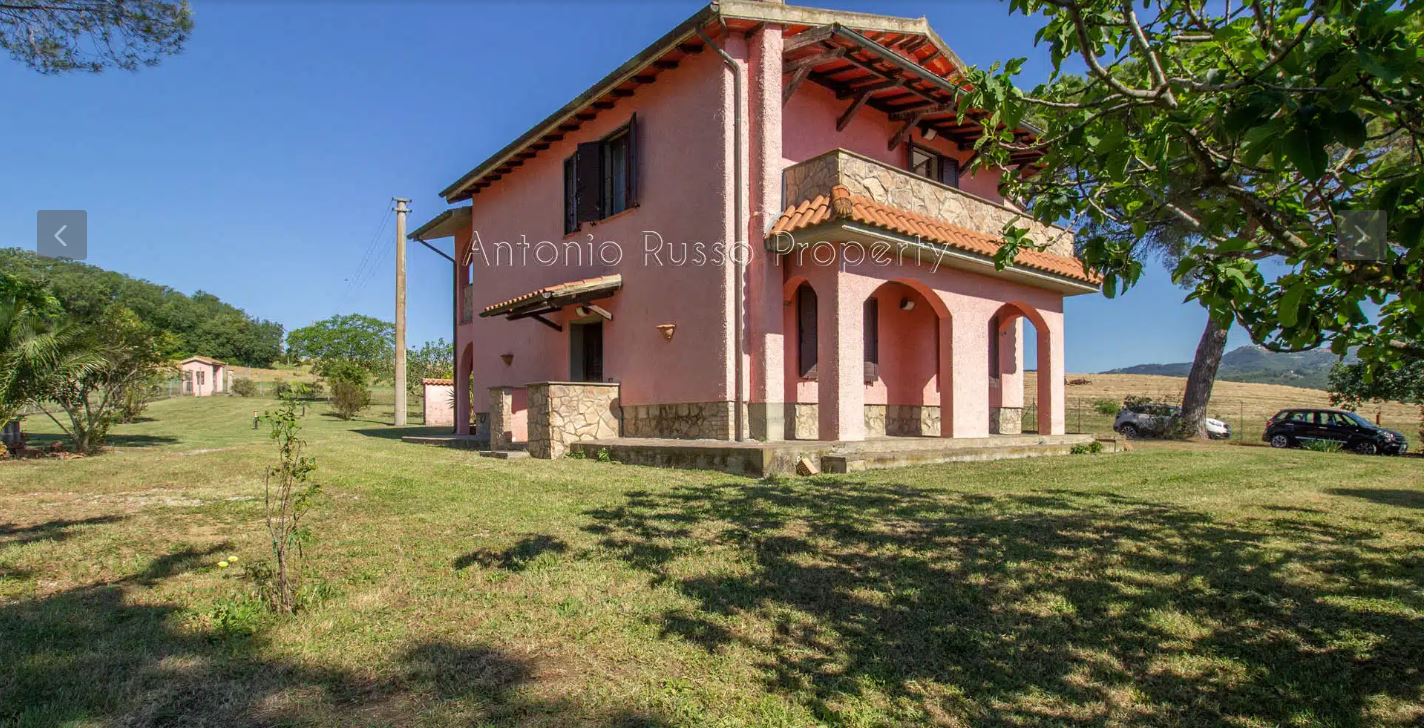 /api/file/public/265166/29154