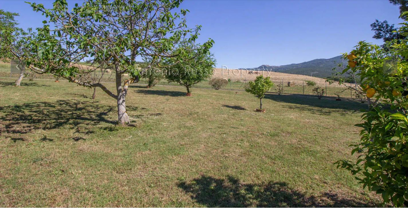 /api/file/public/265166/29155