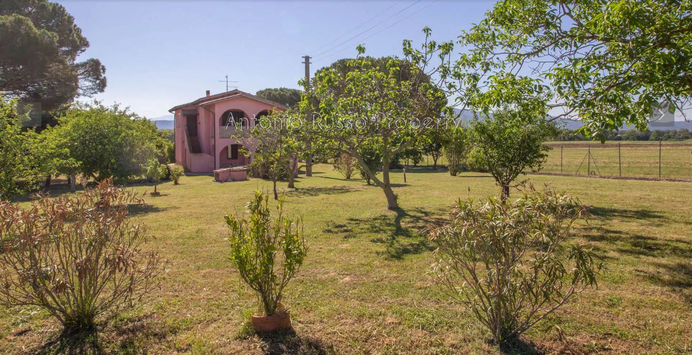 /api/file/public/265166/29156