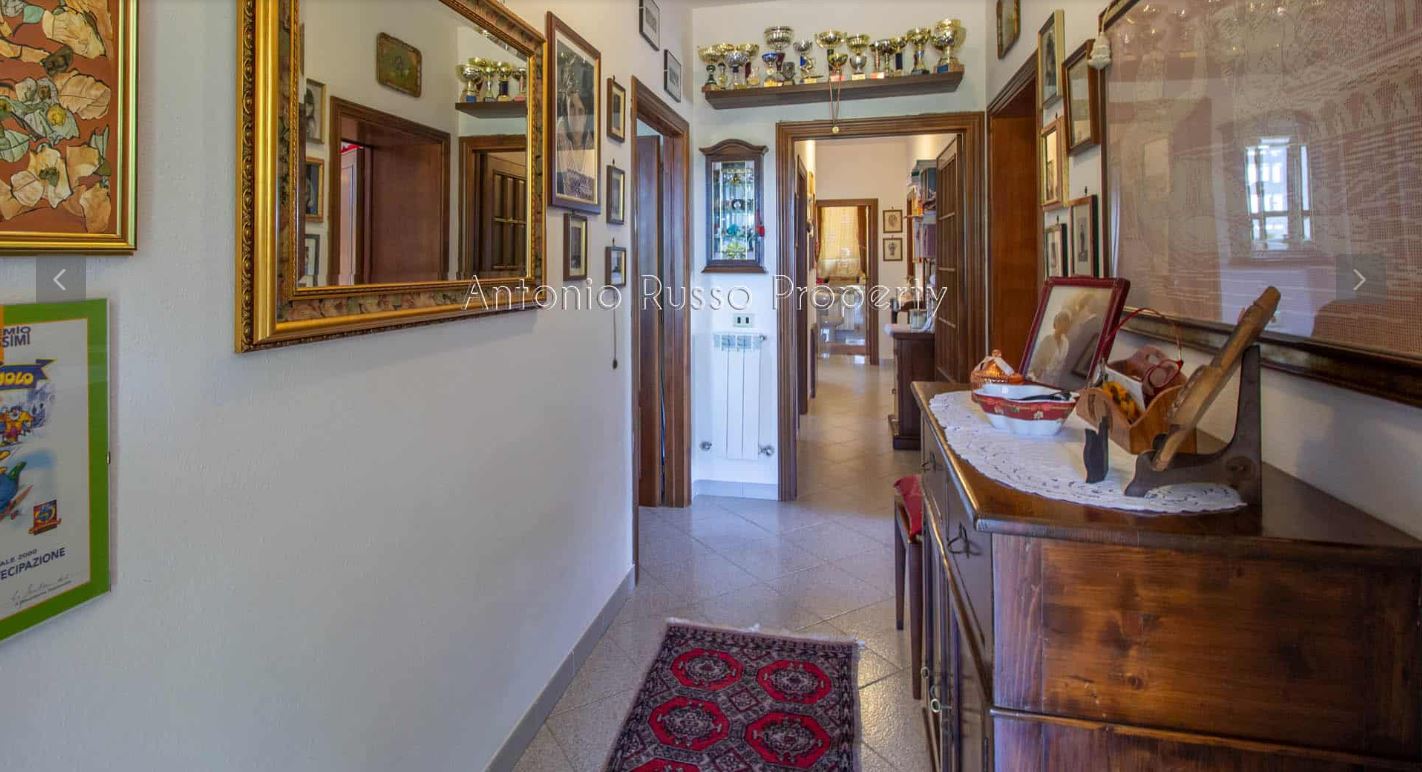 /api/file/public/265167/29159