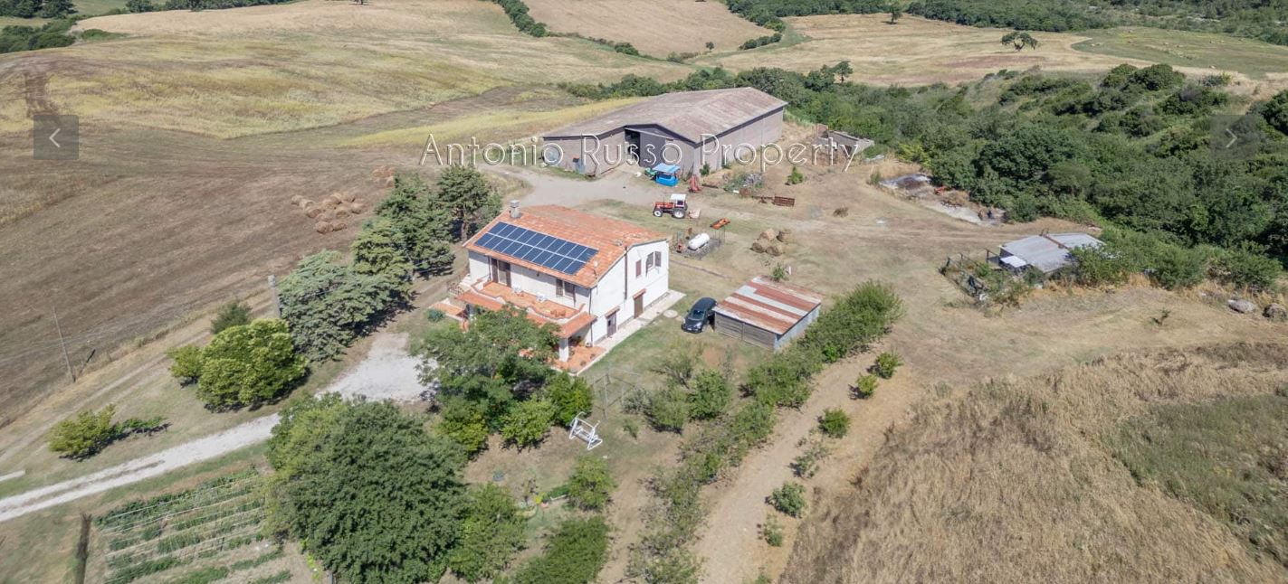 /api/file/public/265167/29161