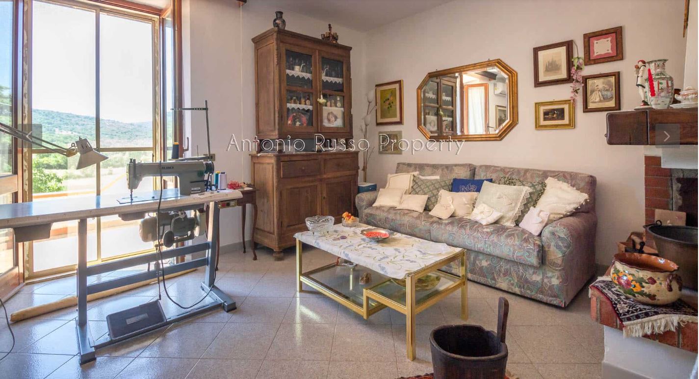 /api/file/public/265167/29162