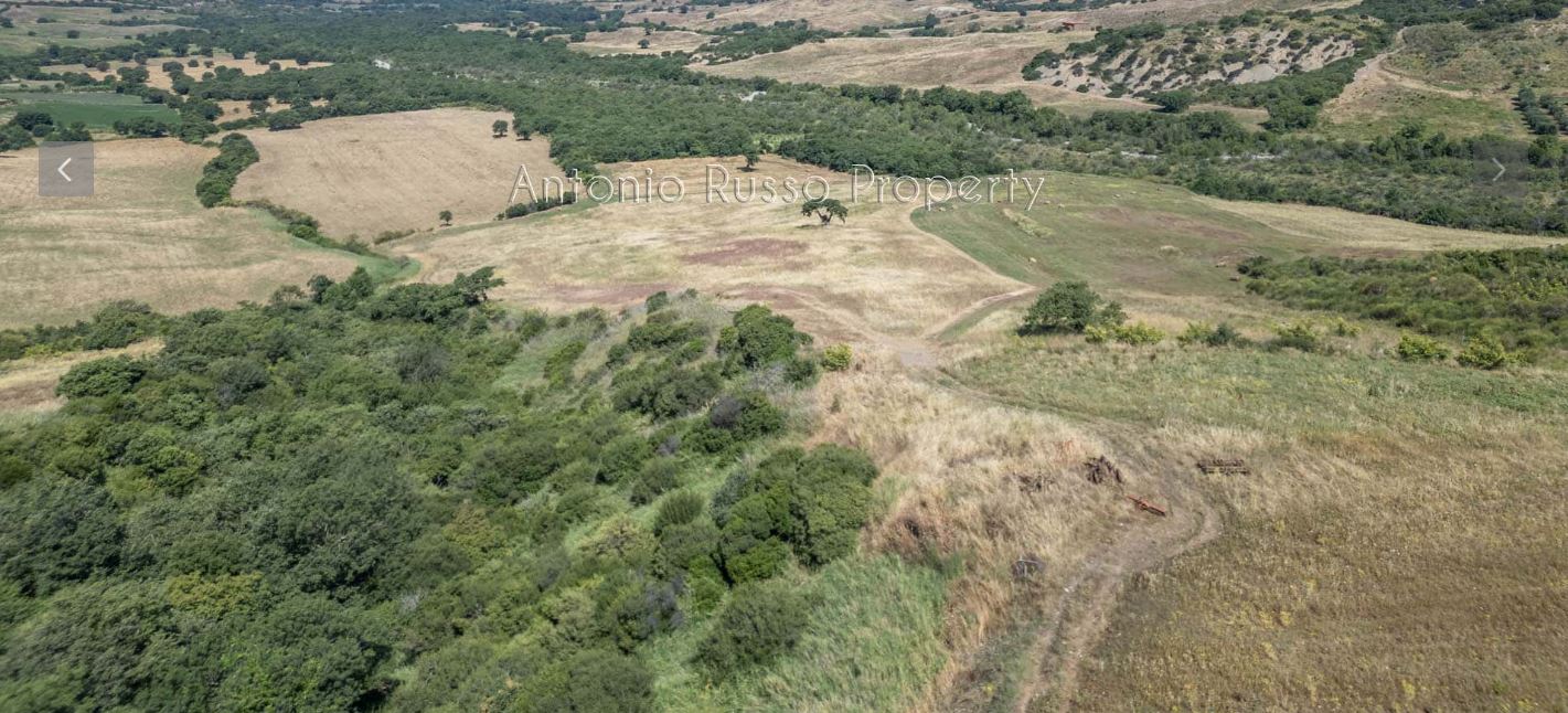 /api/file/public/265167/29165