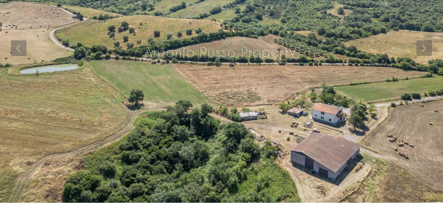 /api/file/public/265167/29166